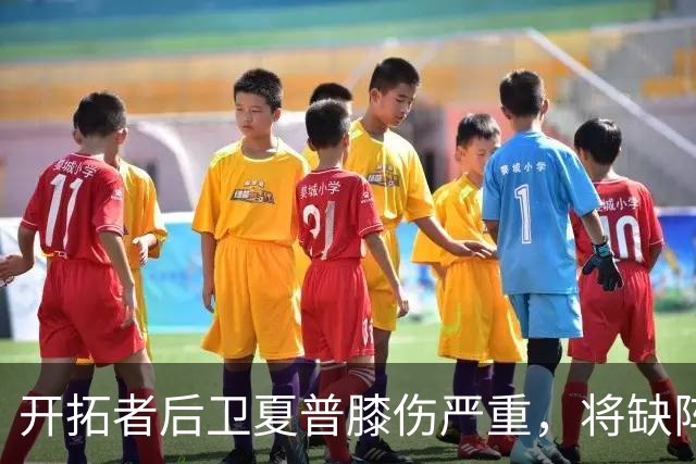 开拓者后卫夏普膝伤严重，将缺阵六个月