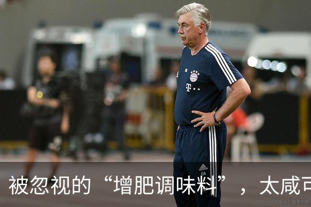 被忽视的“增肥调味料”，太咸可致肥胖和腰围增大